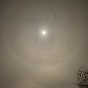 Meet your Posher, Royal